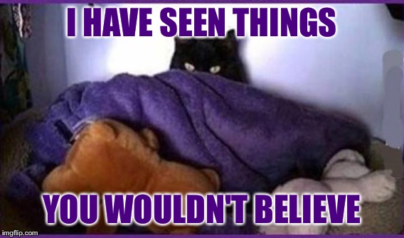 I HAVE SEEN THINGS YOU WOULDN'T BELIEVE | made w/ Imgflip meme maker