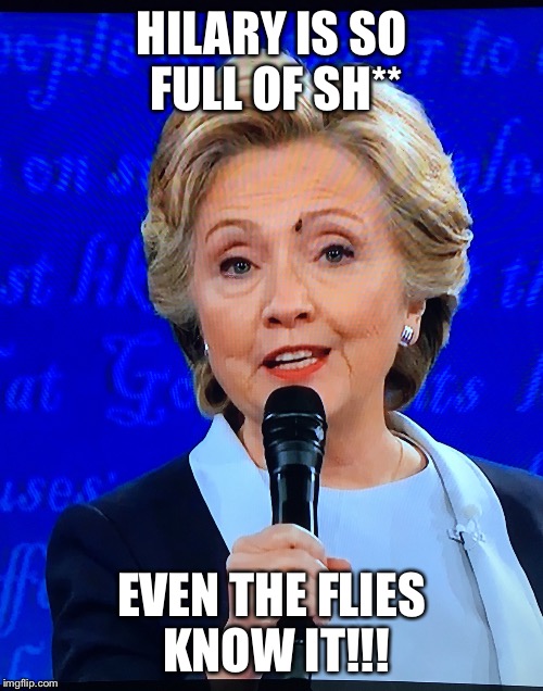 HILARY IS SO FULL OF SH**; EVEN THE FLIES KNOW IT!!! | image tagged in hillary clinton | made w/ Imgflip meme maker