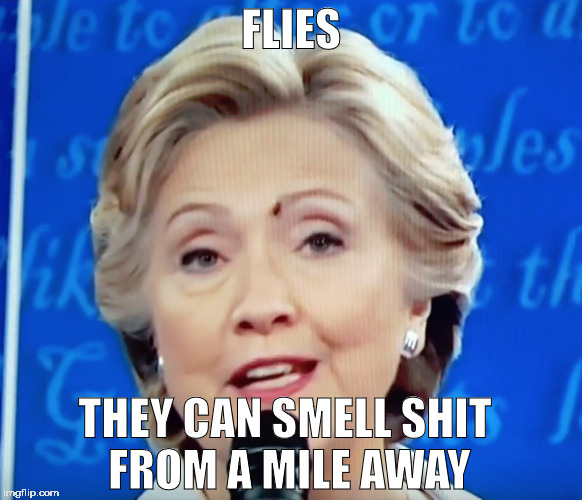 Fly Lands on Hillary | FLIES; THEY CAN SMELL SHIT FROM A MILE AWAY | image tagged in hillary clinton,hillary,trump,donald trump,debate,election 2016 | made w/ Imgflip meme maker