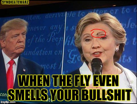 SYNDICATEWARZ; WHEN THE FLY EVEN SMELLS YOUR BULLSHIT | image tagged in hillary clinton,hillary clinton fail,fly | made w/ Imgflip meme maker