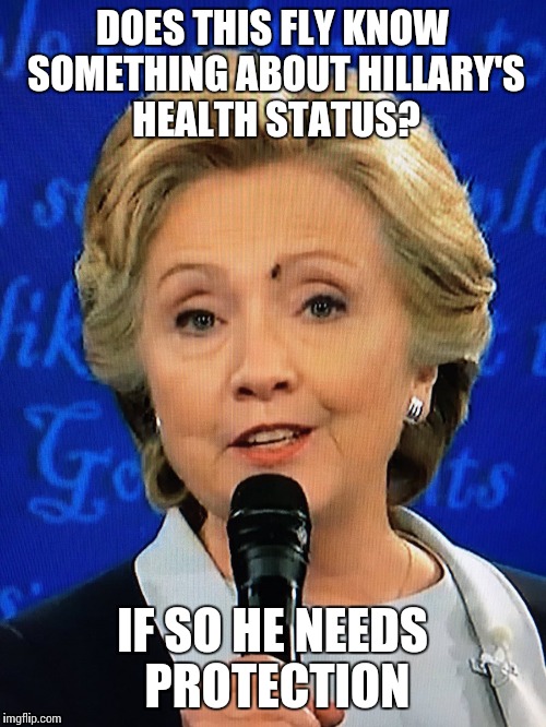 Trump v Clinton | DOES THIS FLY KNOW SOMETHING ABOUT HILLARY'S HEALTH STATUS? IF SO HE NEEDS PROTECTION | image tagged in fly,debate,clinton,trump | made w/ Imgflip meme maker