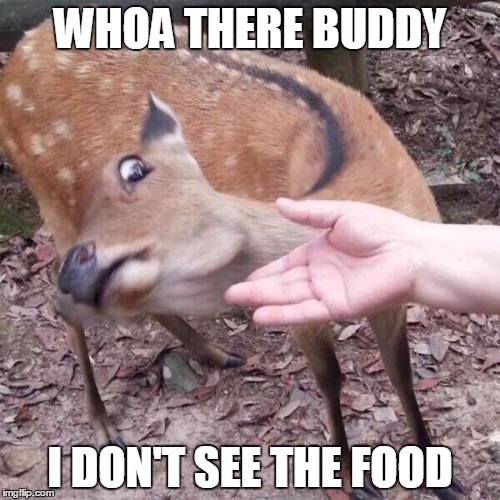 nope | WHOA THERE BUDDY; I DON'T SEE THE FOOD | image tagged in nope | made w/ Imgflip meme maker