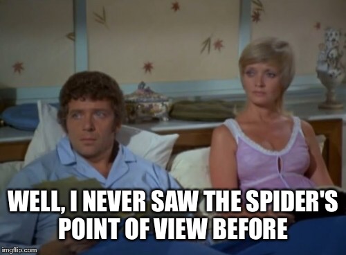 WELL, I NEVER SAW THE SPIDER'S POINT OF VIEW BEFORE | made w/ Imgflip meme maker