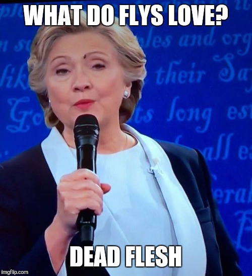 FLY LANDS on Hillary Clinton's eyebrow | WHAT DO FLYS LOVE? DEAD FLESH | image tagged in fly,hillary clinton,lands,eyebrow | made w/ Imgflip meme maker