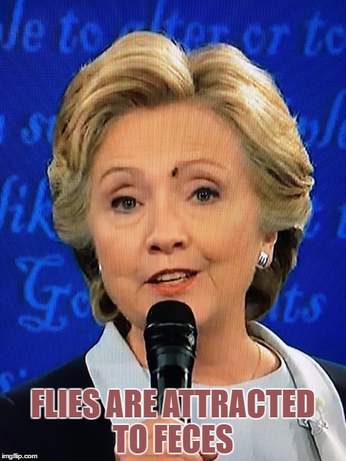 Flies love the filth | FLIES ARE ATTRACTED TO FECES | image tagged in hillary clinton | made w/ Imgflip meme maker