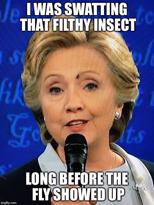 I WAS SWATTING THAT FILTHY INSECT; LONG BEFORE THE FLY SHOWED UP | image tagged in hillary clinton,fly | made w/ Imgflip meme maker