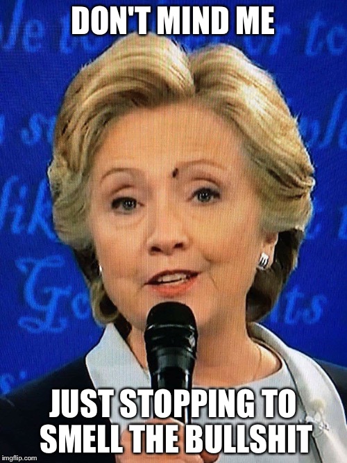 Flys love them some shit | DON'T MIND ME; JUST STOPPING TO SMELL THE BULLSHIT | image tagged in hillary clinton,fly | made w/ Imgflip meme maker