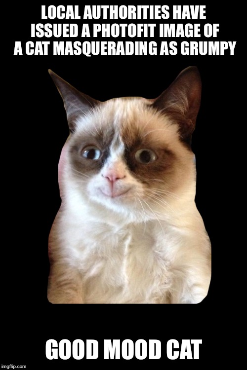 LOCAL AUTHORITIES HAVE ISSUED A PHOTOFIT IMAGE OF A CAT MASQUERADING AS GRUMPY GOOD MOOD CAT | made w/ Imgflip meme maker