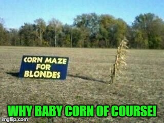 WHY BABY CORN OF COURSE! | made w/ Imgflip meme maker