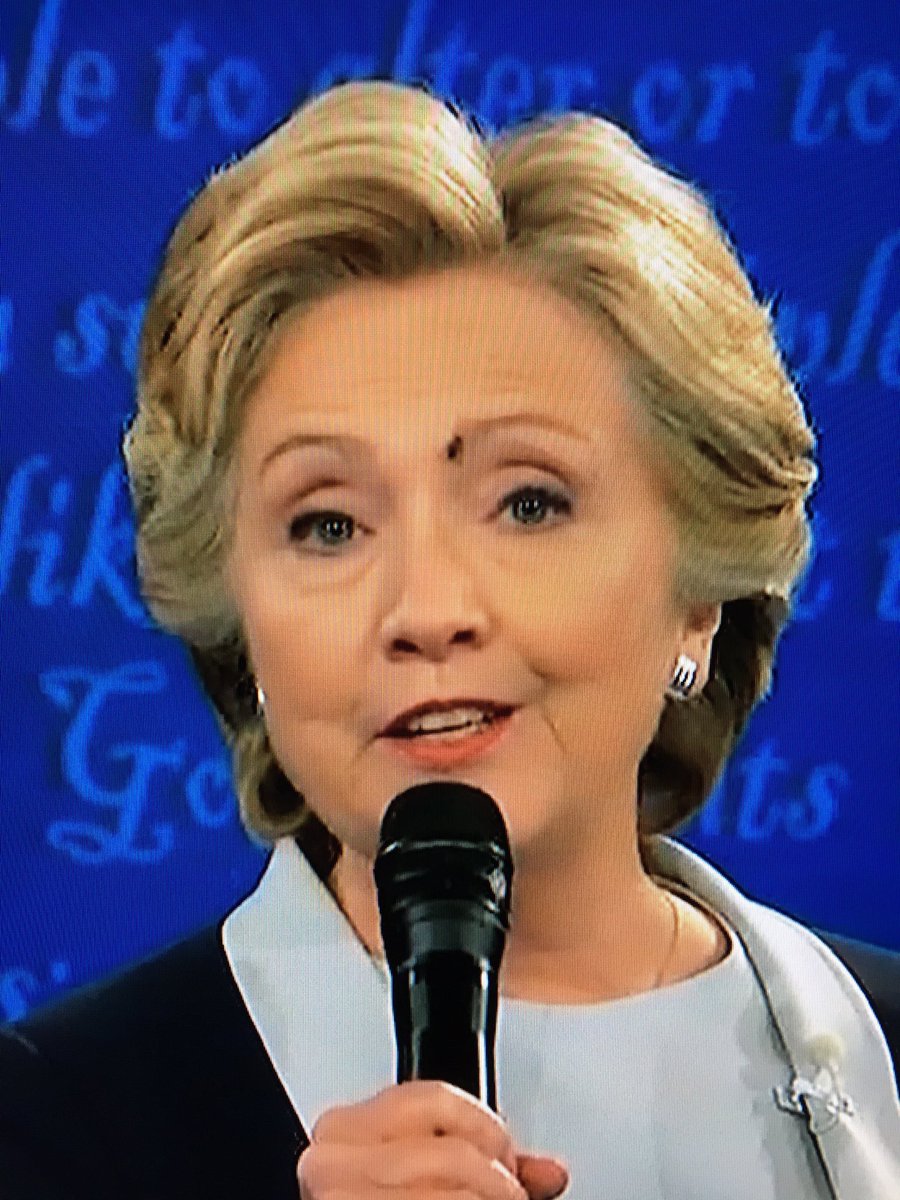 Hillary with fly on face Blank Meme Template