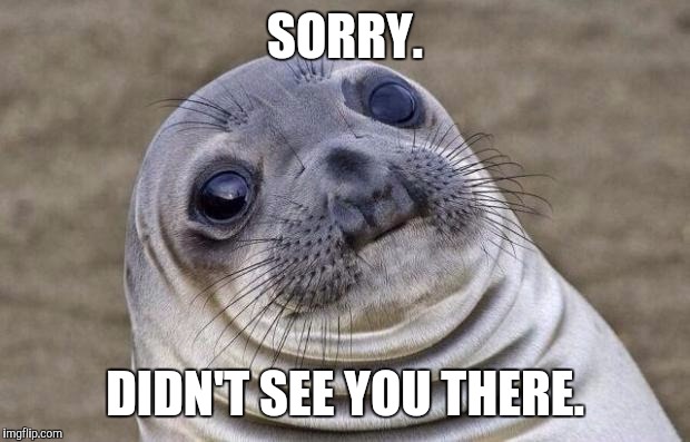 Awkward Moment Sealion | SORRY. DIDN'T SEE YOU THERE. | image tagged in memes,awkward moment sealion | made w/ Imgflip meme maker