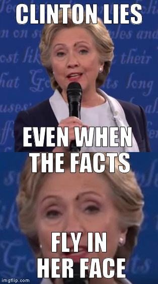 Fly in Her Face | CLINTON LIES; EVEN WHEN THE FACTS; FLY IN HER FACE | image tagged in clintonfly,return of the fly,i just want to fly,clinton corruption,trump 2016 | made w/ Imgflip meme maker