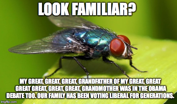 LOOK FAMILIAR? MY GREAT, GREAT, GREAT, GRANDFATHER OF MY GREAT, GREAT GREAT GREAT, GREAT, GREAT, GRANDMOTHER WAS IN THE OBAMA DEBATE TOO. OUR FAMILY HAS BEEN VOTING LIBERAL FOR GENERATIONS. | image tagged in hillary,fly,obama,hillary clinton,debate | made w/ Imgflip meme maker