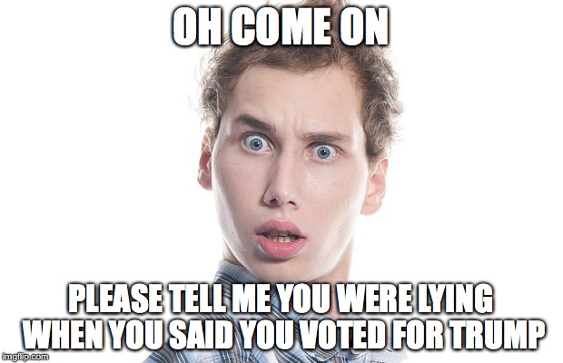 Donald Trump hater | OH COME ON; PLEASE TELL ME YOU WERE LYING WHEN YOU SAID YOU VOTED FOR TRUMP | image tagged in donald trump | made w/ Imgflip meme maker
