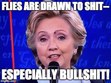 Fly on Hillary | FLIES ARE DRAWN TO SHIT--; ESPECIALLY BULLSHIT! | image tagged in political | made w/ Imgflip meme maker