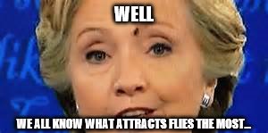 Hillary's Fly Debacle | WELL; WE ALL KNOW WHAT ATTRACTS FLIES THE MOST... | image tagged in hillary clinton,memes | made w/ Imgflip meme maker