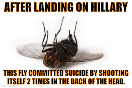 Suicide Fly | AFTER LANDING ON HILLARY; THIS FLY COMMITTED SUICIDE BY SHOOTING ITSELF 2 TIMES IN THE BACK OF THE HEAD. | image tagged in hillary clinton,debate | made w/ Imgflip meme maker