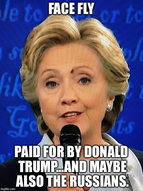 FACE FLY; PAID FOR BY DONALD TRUMP...AND MAYBE ALSO THE RUSSIANS. | image tagged in fly face hillary | made w/ Imgflip meme maker