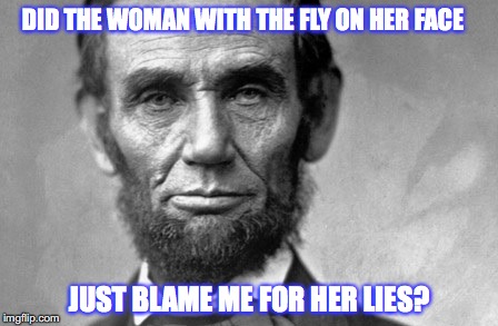 Hillary Blames Lincoln | DID THE WOMAN WITH THE FLY ON HER FACE; JUST BLAME ME FOR HER LIES? | image tagged in liar | made w/ Imgflip meme maker