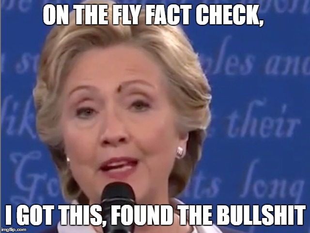 flyfact check | ON THE FLY FACT CHECK, I GOT THIS, FOUND THE BULLSHIT | image tagged in evanevanevan,hillary clinton,hillary,hillary clinton 2016,liar | made w/ Imgflip meme maker