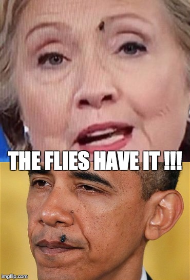 Nature Knows Best... | THE FLIES HAVE IT !!! | image tagged in political humor | made w/ Imgflip meme maker