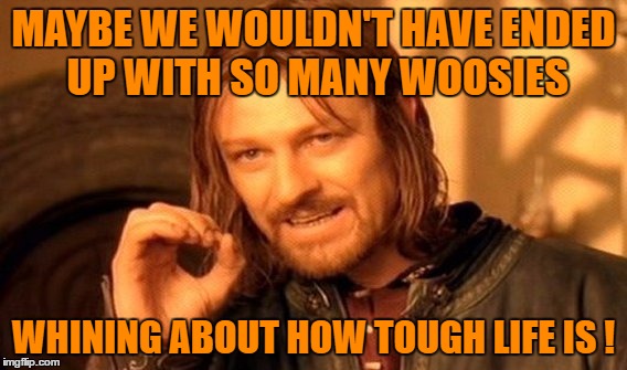 One Does Not Simply Meme | MAYBE WE WOULDN'T HAVE ENDED UP WITH SO MANY WOOSIES WHINING ABOUT HOW TOUGH LIFE IS ! | image tagged in memes,one does not simply | made w/ Imgflip meme maker