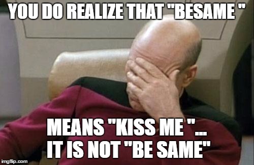 Captain Picard Facepalm Meme | YOU DO REALIZE THAT "BESAME " MEANS "KISS ME "... IT IS NOT "BE SAME" | image tagged in memes,captain picard facepalm | made w/ Imgflip meme maker