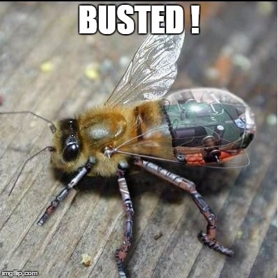 BUSTED ! | made w/ Imgflip meme maker