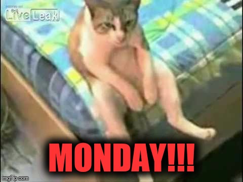 Scarier than any clown's or election. The weekly terror that is... | MONDAY!!! | image tagged in mondays,funny memes,depressed cat,clowns | made w/ Imgflip meme maker