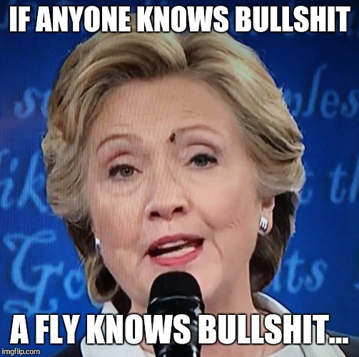IF ANYONE KNOWS BULLSHIT; A FLY KNOWS BULLSHIT... | image tagged in hillary clinton,fly,face,fly on hillary clinton's face,hillary bullshit | made w/ Imgflip meme maker