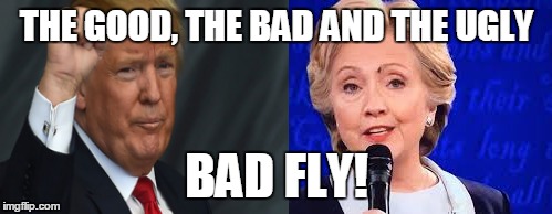 THE GOOD, THE BAD AND THE UGLY BAD FLY! | made w/ Imgflip meme maker