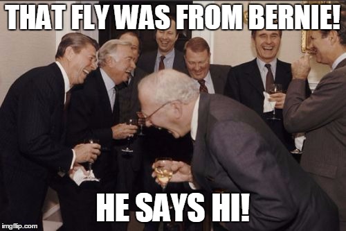 laughing | THAT FLY WAS FROM BERNIE! HE SAYS HI! | image tagged in laughing | made w/ Imgflip meme maker