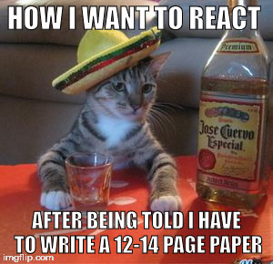 Mexican Cat | HOW I WANT TO REACT; AFTER BEING TOLD I HAVE TO WRITE A 12-14 PAGE PAPER | image tagged in mexican cat | made w/ Imgflip meme maker