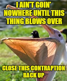 I AIN'T GOIN' NOWHERE UNTIL THIS THING BLOWS OVER CLOSE THIS CONTRAPTION BACK UP | made w/ Imgflip meme maker