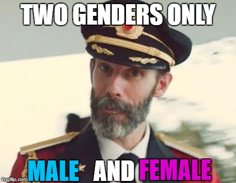 Captain Obvious | TWO GENDERS ONLY; MALE; FEMALE; AND | image tagged in captain obvious | made w/ Imgflip meme maker