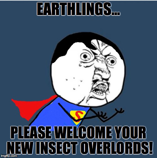 Y U No Superman | EARTHLINGS... PLEASE WELCOME YOUR NEW INSECT OVERLORDS! | image tagged in y u no superman,simpsons,kent brockman,memes,y u no,superman | made w/ Imgflip meme maker