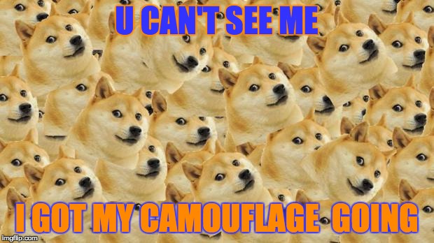 Multi Doge Meme | U CAN'T SEE ME; I GOT MY CAMOUFLAGE  GOING | image tagged in memes,multi doge | made w/ Imgflip meme maker