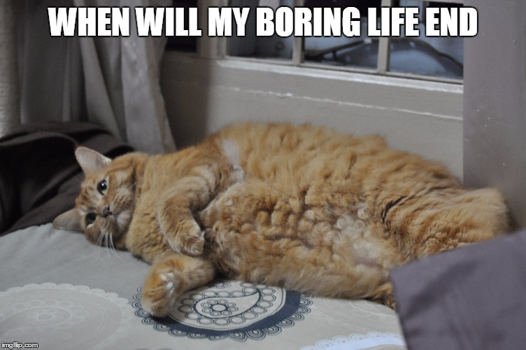 When Life is bore | WHEN WILL MY BORING LIFE END | image tagged in boring,bored,life | made w/ Imgflip meme maker