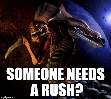 Zerg Rush | SOMEONE NEEDS A RUSH? | image tagged in starcraft,zerg,zerg rush,meme | made w/ Imgflip meme maker