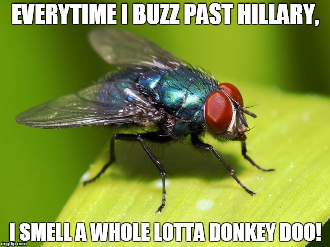 When interviewed on WHY he kept buzzing, and finally landed on H | EVERYTIME I BUZZ PAST HILLARY, I SMELL A WHOLE LOTTA DONKEY DOO! | image tagged in when interviewed on why he kept buzzing and finally landed on h | made w/ Imgflip meme maker