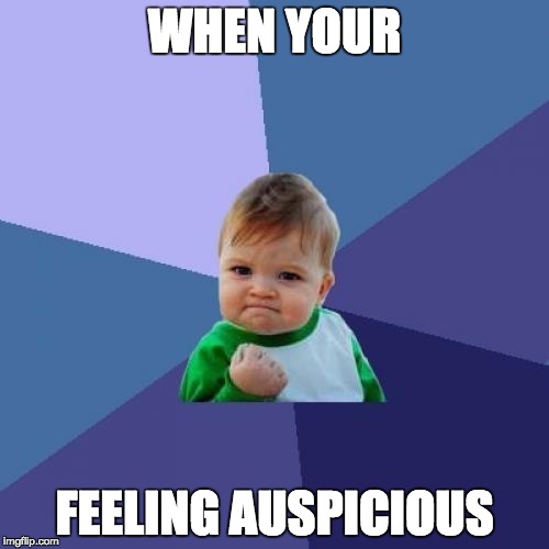 Success Kid Meme | WHEN YOUR; FEELING AUSPICIOUS | image tagged in memes,success kid | made w/ Imgflip meme maker