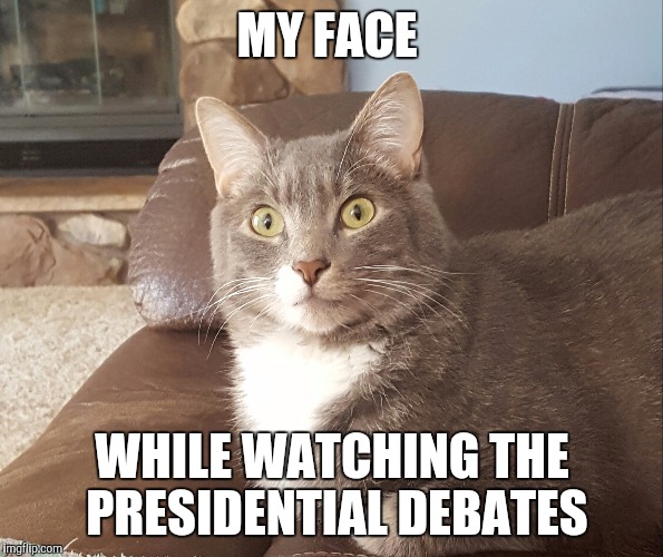 Watching the Debate | MY FACE; WHILE WATCHING THE PRESIDENTIAL DEBATES | image tagged in presidential debate,funny cats | made w/ Imgflip meme maker