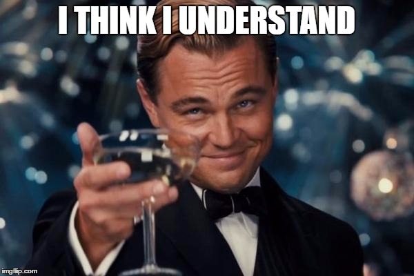 Leonardo Dicaprio Cheers Meme | I THINK I UNDERSTAND | image tagged in memes,leonardo dicaprio cheers | made w/ Imgflip meme maker