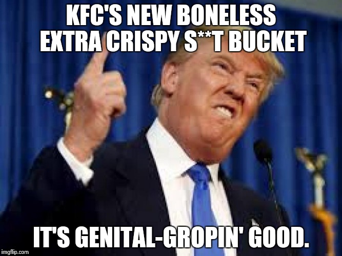 KFC Trump | KFC'S NEW BONELESS EXTRA CRISPY S**T BUCKET; IT'S GENITAL-GROPIN' GOOD. | image tagged in donald trump,kfc,election 2016,nevertrump | made w/ Imgflip meme maker