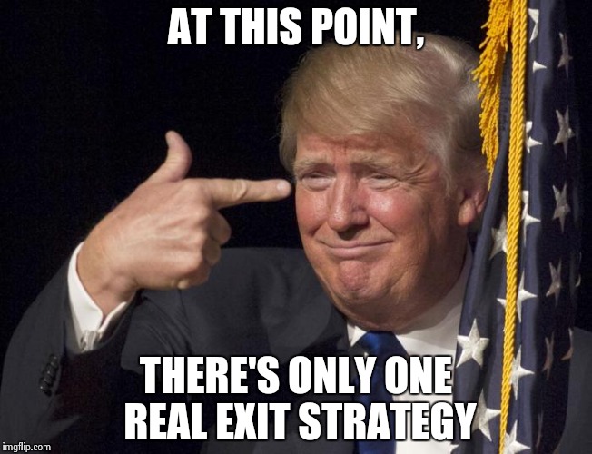 Exit strategy | AT THIS POINT, THERE'S ONLY ONE REAL EXIT STRATEGY | image tagged in nevertrump,donald trump | made w/ Imgflip meme maker