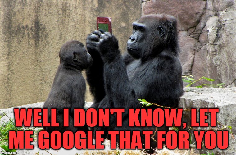 WELL I DON'T KNOW, LET ME GOOGLE THAT FOR YOU | made w/ Imgflip meme maker