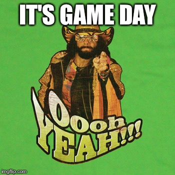 It's game day | IT'S GAME DAY | image tagged in savage | made w/ Imgflip meme maker