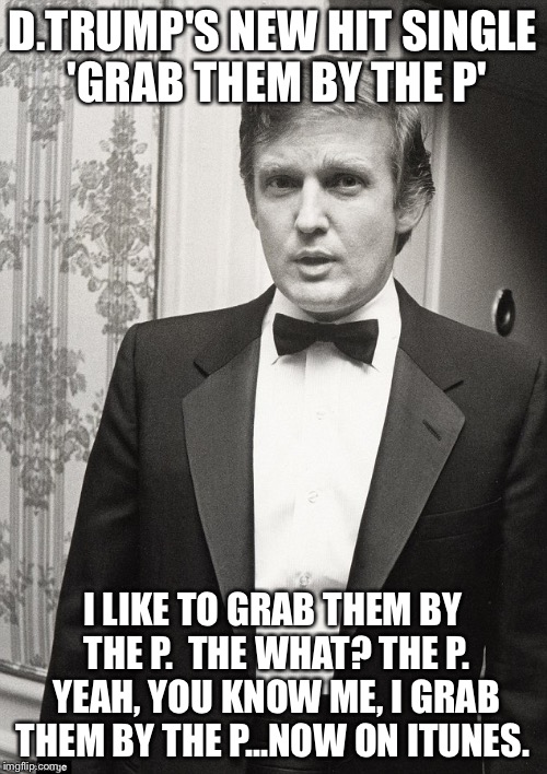 Young Donald Trump | D.TRUMP'S NEW HIT SINGLE 'GRAB THEM BY THE P'; I LIKE TO GRAB THEM BY THE P.  THE WHAT? THE P. YEAH, YOU KNOW ME, I GRAB THEM BY THE P...NOW ON ITUNES. | image tagged in young donald trump | made w/ Imgflip meme maker