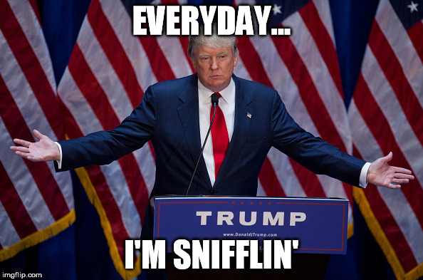 Donald Trump | EVERYDAY... I'M SNIFFLIN' | image tagged in donald trump | made w/ Imgflip meme maker