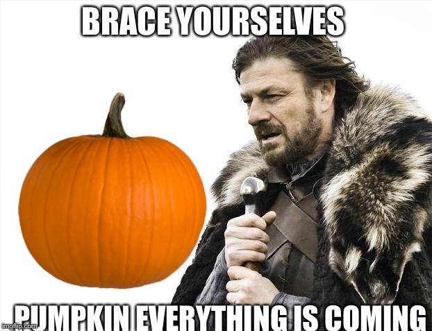 Brace Yourselves X is Coming | BRACE YOURSELVES; PUMPKIN EVERYTHING IS COMING | image tagged in memes,brace yourselves x is coming | made w/ Imgflip meme maker